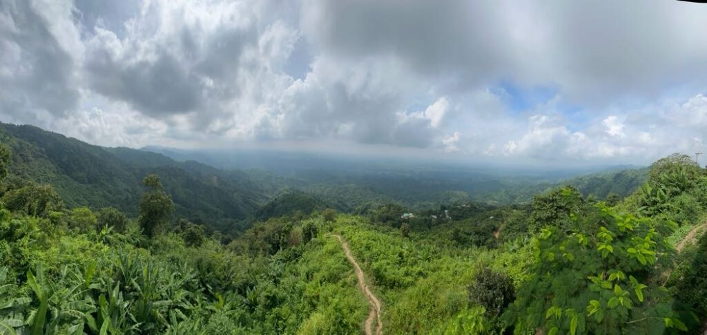 Hill view from Nilgiri