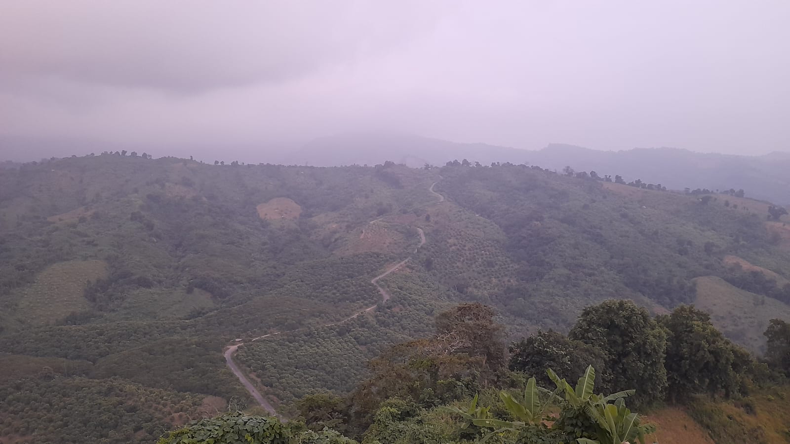 Snaky hill roads at Thanchi Toma Tungi