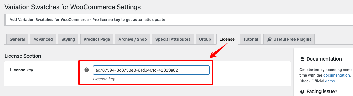 License key to get automatic update